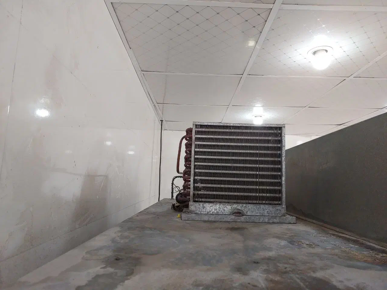 یخچال|فروشگاه و مغازه|بندر کنگان, |دیوار