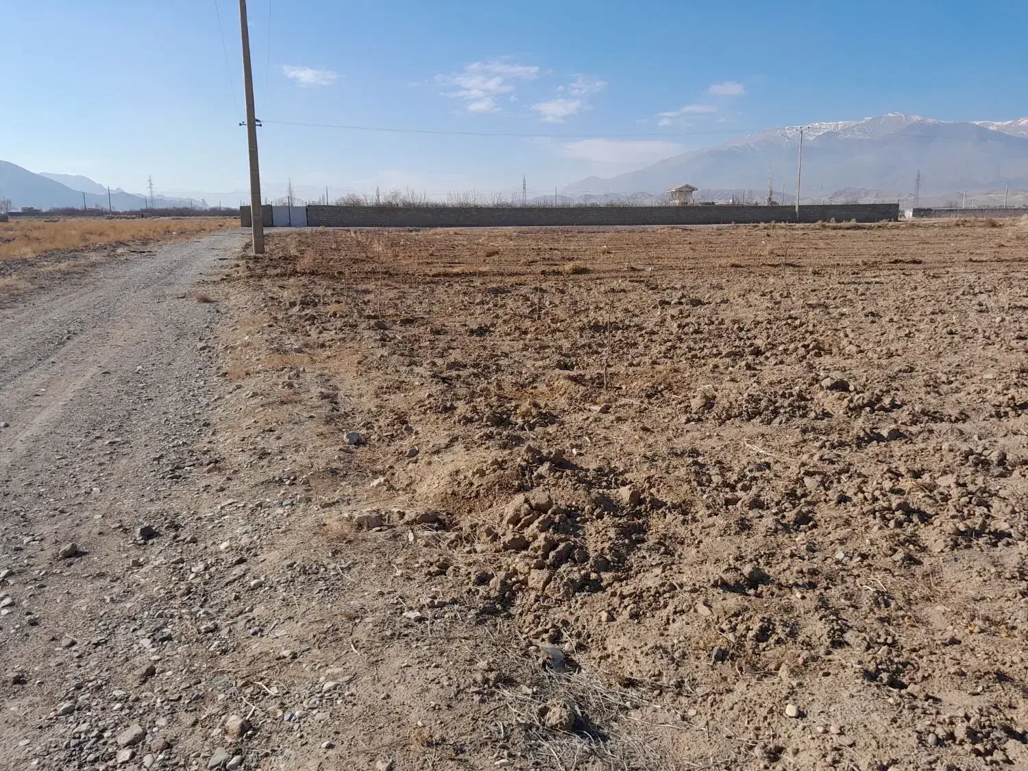 زمین کشاورزی جاده کرو بسطام|فروش دفتر صنعتی، کشاورزی، تجاری|بسطام, |دیوار