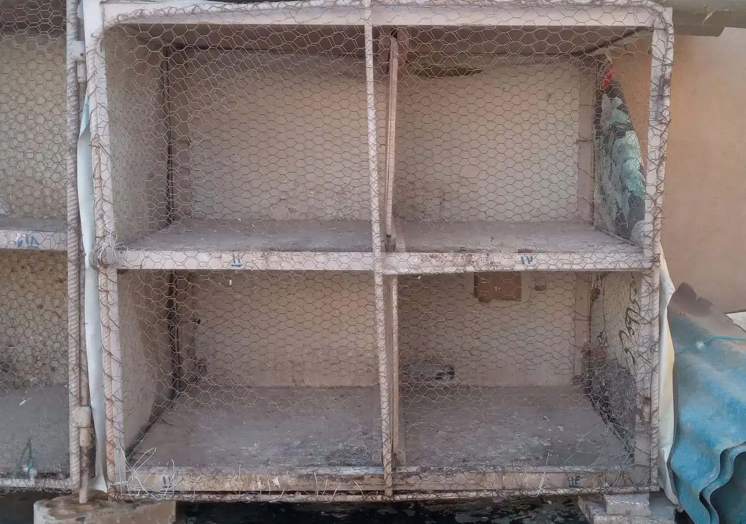 قفس کبوتر|لوازم جانبی حیوانات|سرخه, |دیوار