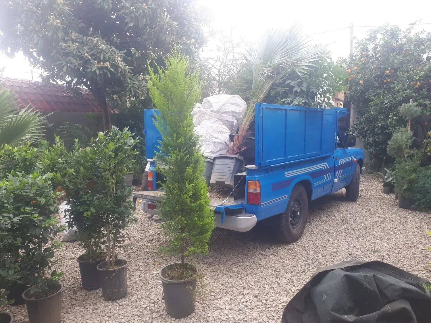 نیسان جابجایی بار|خدمات حمل و نقل|کرمانشاه, |دیوار