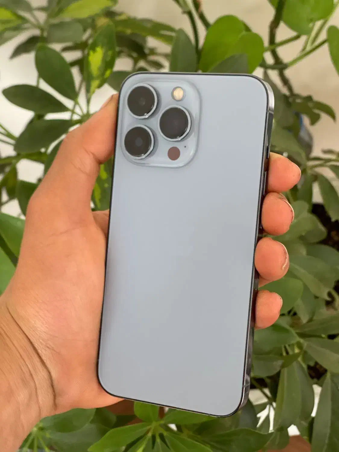 ایفون ۱۳پرو|موبایل|تهران, صادقیه|دیوار