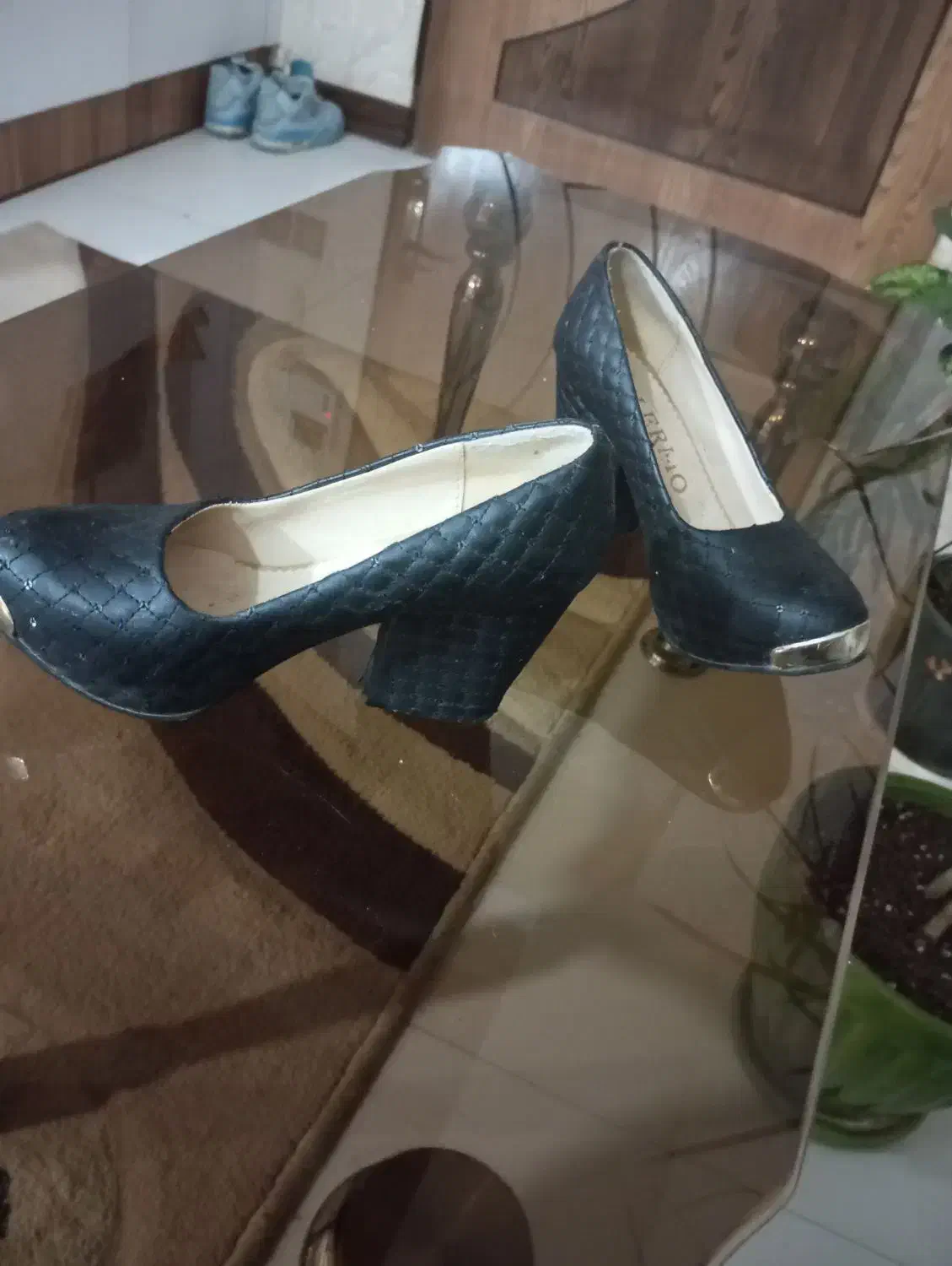 کفش مجلسی|کیف، کفش، کمربند|شاهین‌شهر, نبوت|دیوار