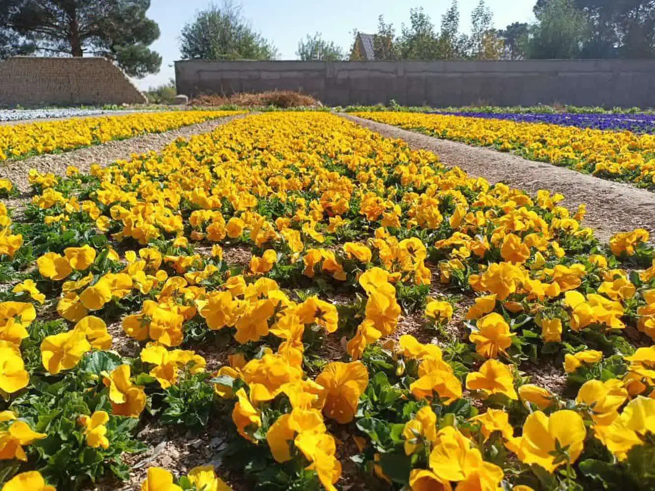 خدمات باغبانی وکشاورزی در شهریار کرج تهران|خدمات باغبانی و درختکاری|شهریار, کرد امیر|دیوار