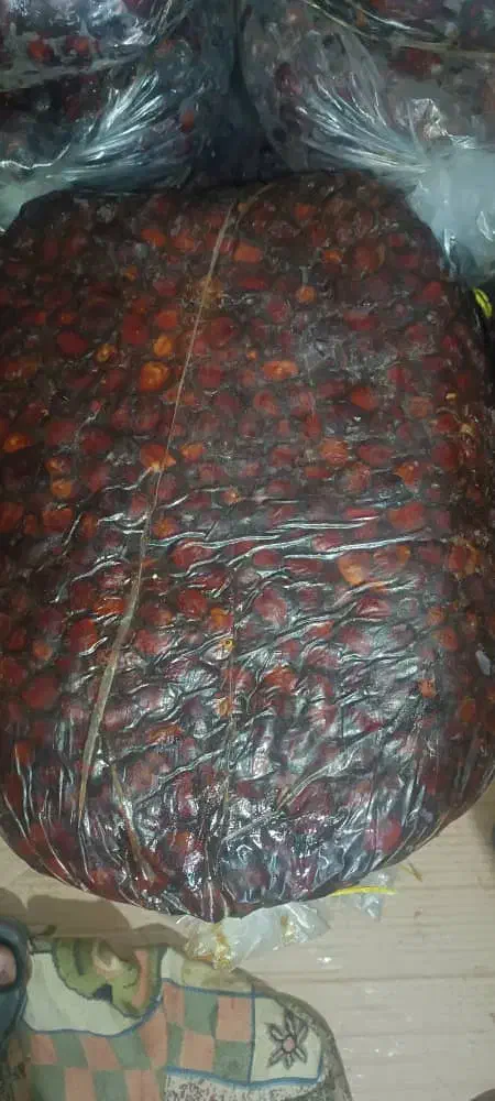 فروش خرمای مرداسنگ درجه یک پر شیره هشتبندی|خوردنی و آشامیدنی|میناب, |دیوار