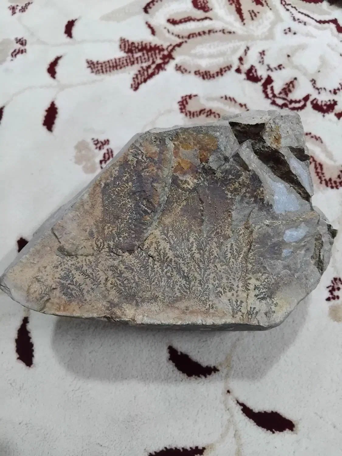 سنگ شجر|کلکسیون اشیاء عتیقه|سردرود, |دیوار