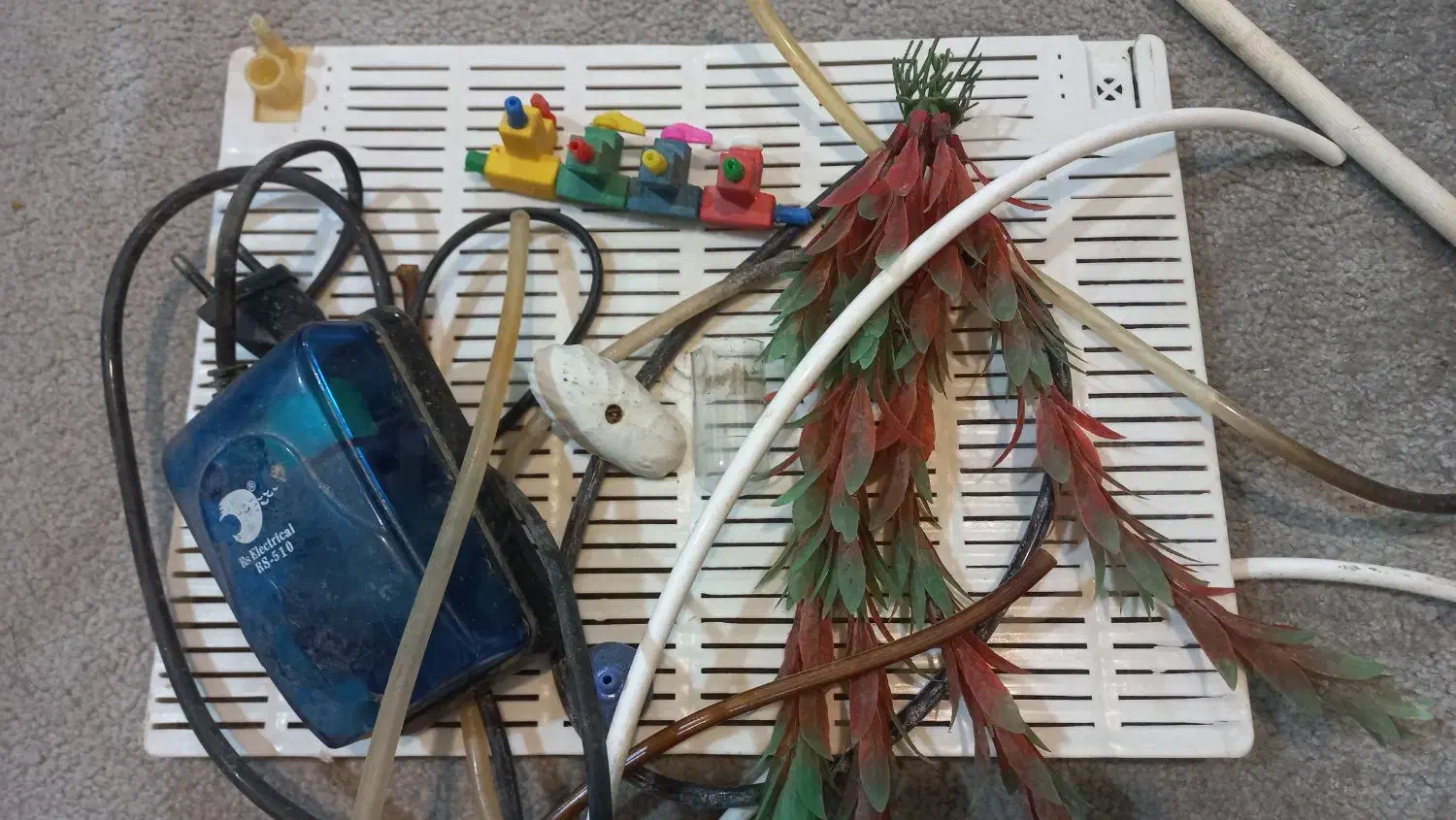 تجهیزات آکواریم|ماهی|بهبهان, |دیوار