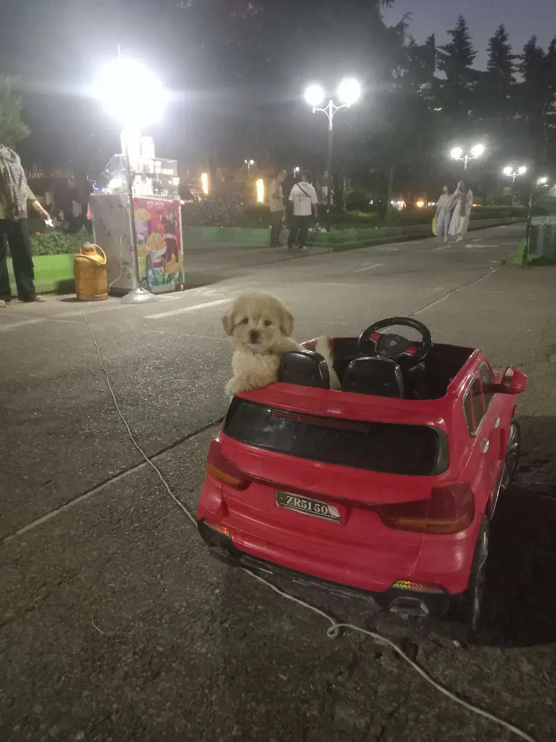 قیمت.خوب گذاشتم|اسباببازی بچه|بندر انزلی, بشمن|دیوار