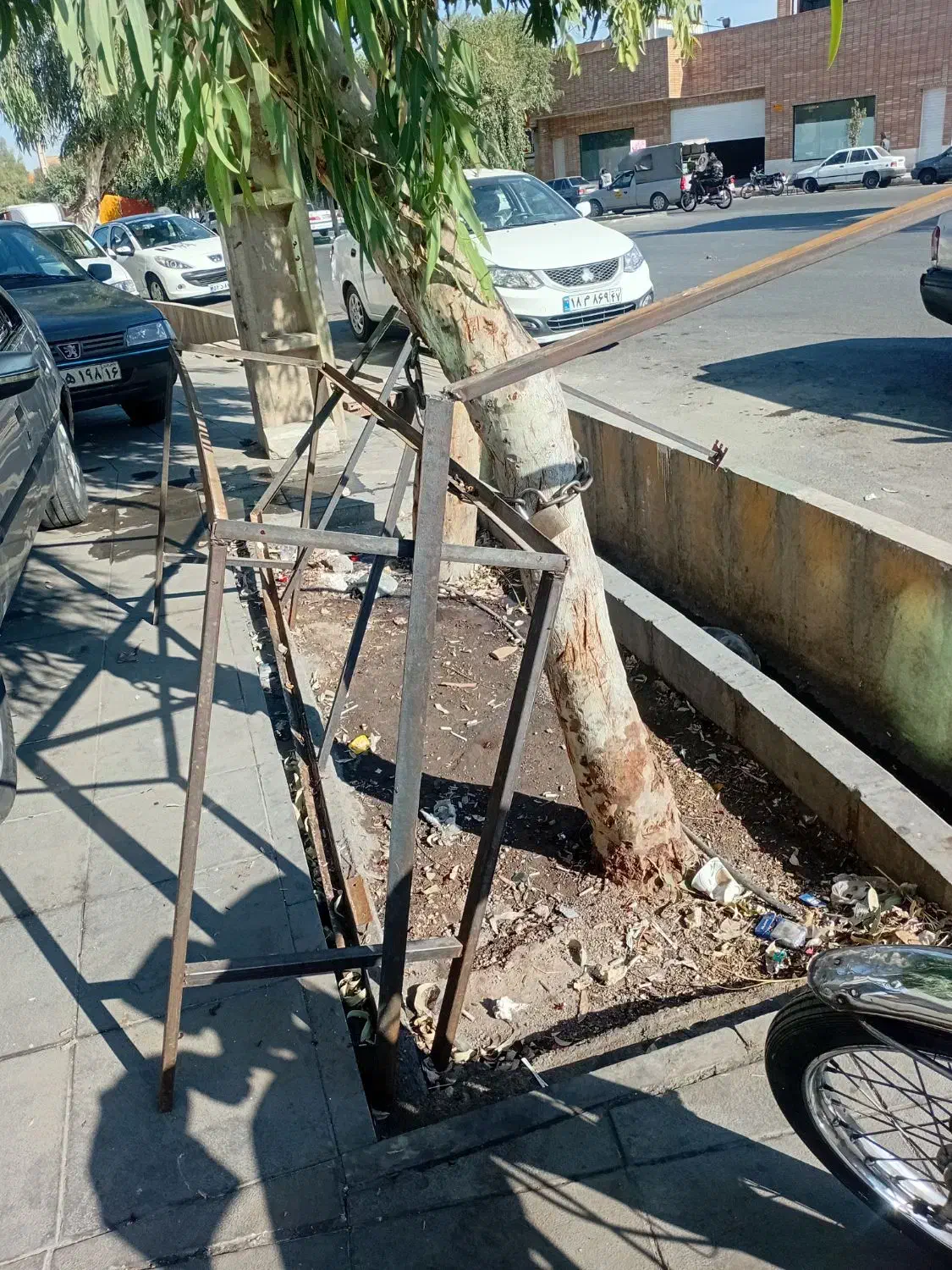 طبق میوه فروشی|فروشگاه و مغازه|قم, حنیف نژاد|دیوار