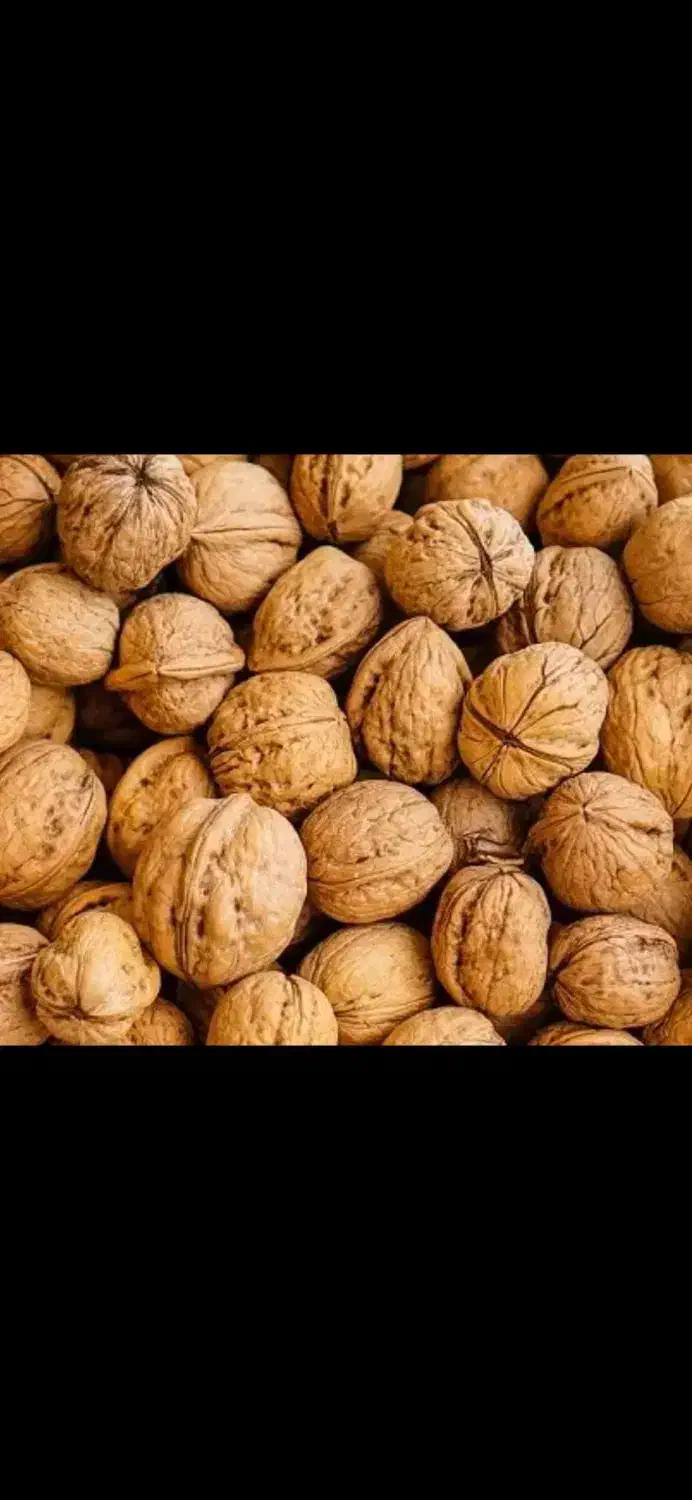 محصولات ارگانیک مسقیم از باغدار|خوردنی و آشامیدنی|شیراز, شهرک والفجر|دیوار