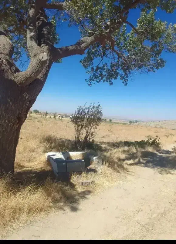 ۳۵میلیون پورسانت بابت فروش زمین|فروش دفتر صنعتی، کشاورزی، تجاری|زنجان, |دیوار