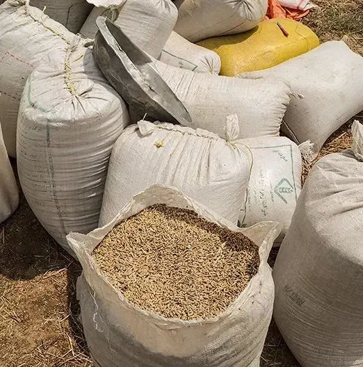 لوبیا قرمز|خوردنی و آشامیدنی|خرم بید, |دیوار