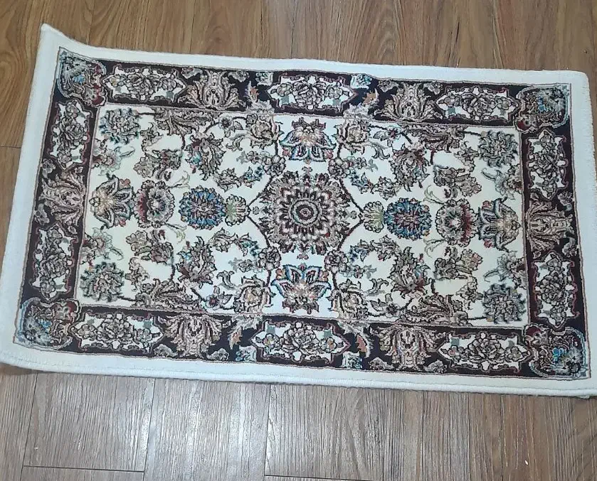 پادری|پادری|مشهد, امیریه|دیوار