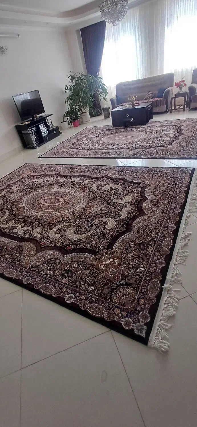 فرش قیطران ۹ متری (جفت)|فرش|سمنان, |دیوار
