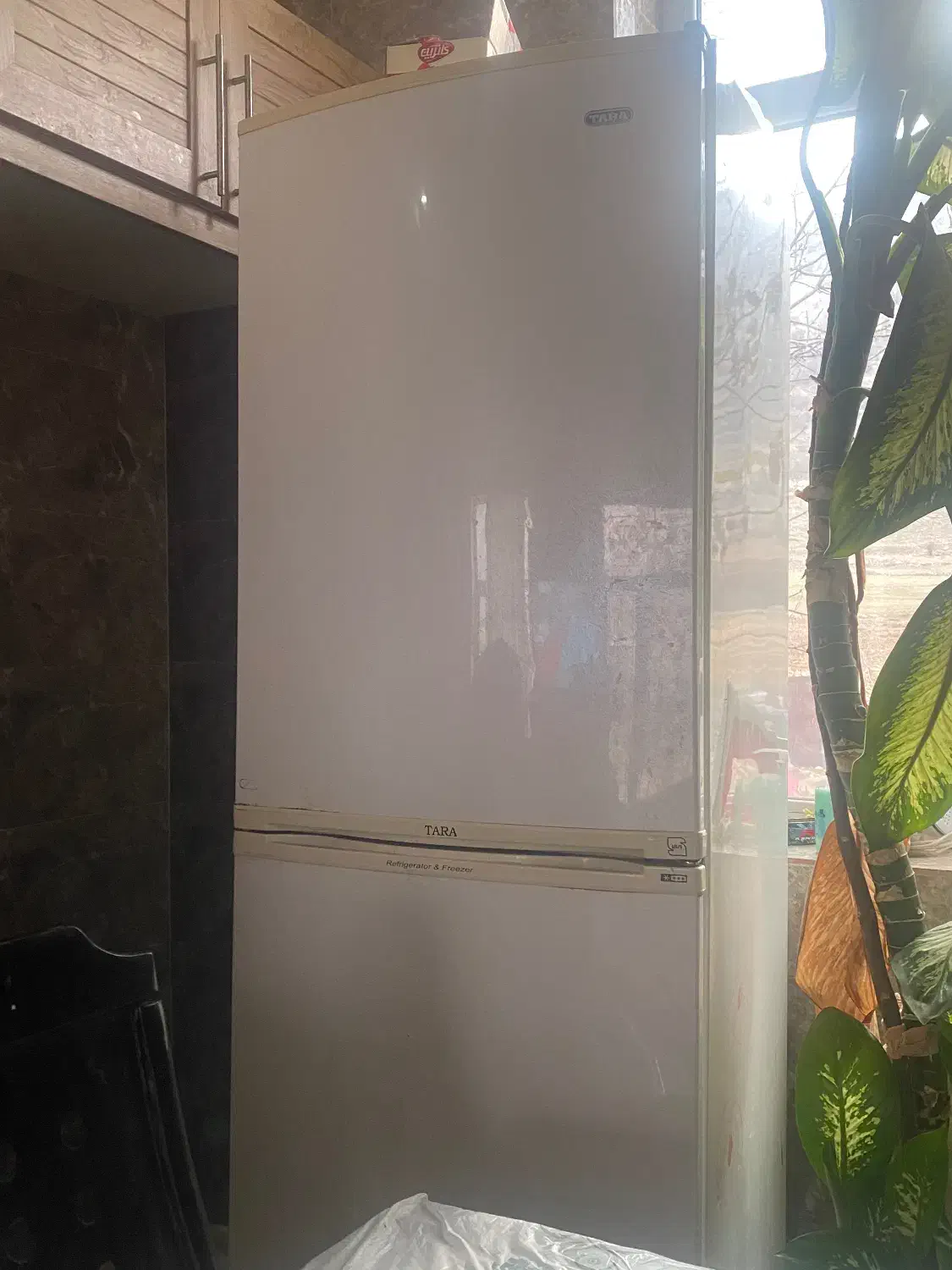 یخچال|یخچال و فریزر|گیلان غرب, |دیوار