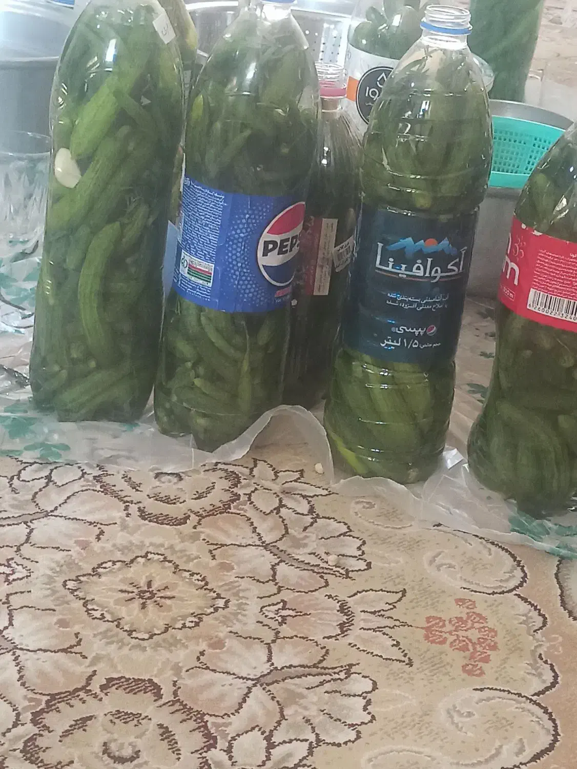 خیار شور خانگی|خوردنی و آشامیدنی|شیراز, ملاصدرا|دیوار