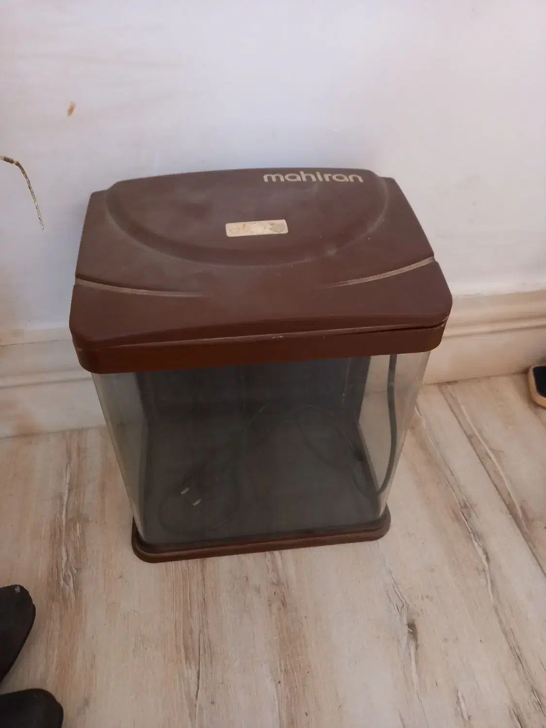 آکواریوم برند ماهیران|ماهی|ورامین, ورامین|دیوار