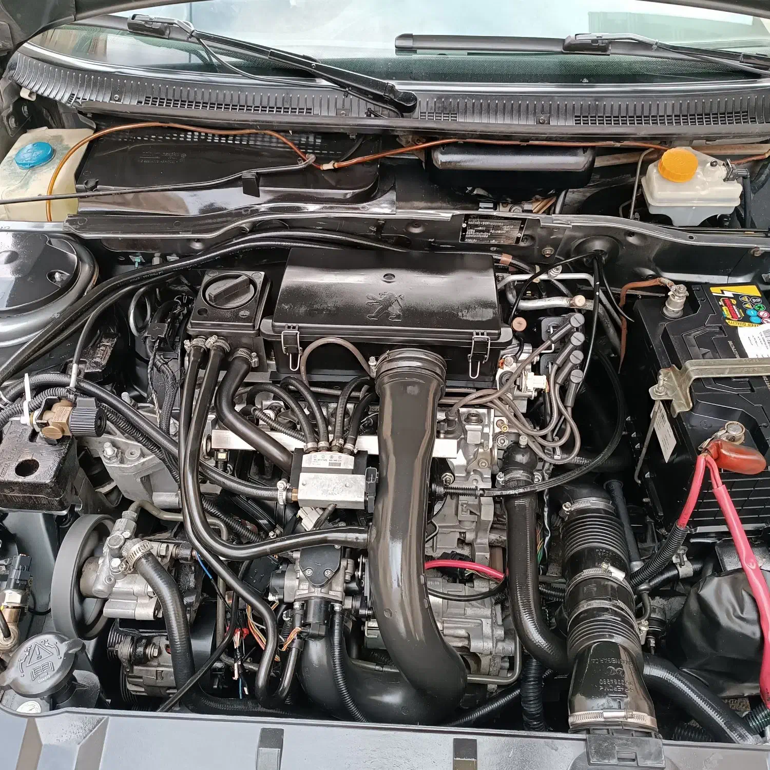 پارس۹۵عروسک|خودرو سواری و وانت|فردیس, فردیس|دیوار