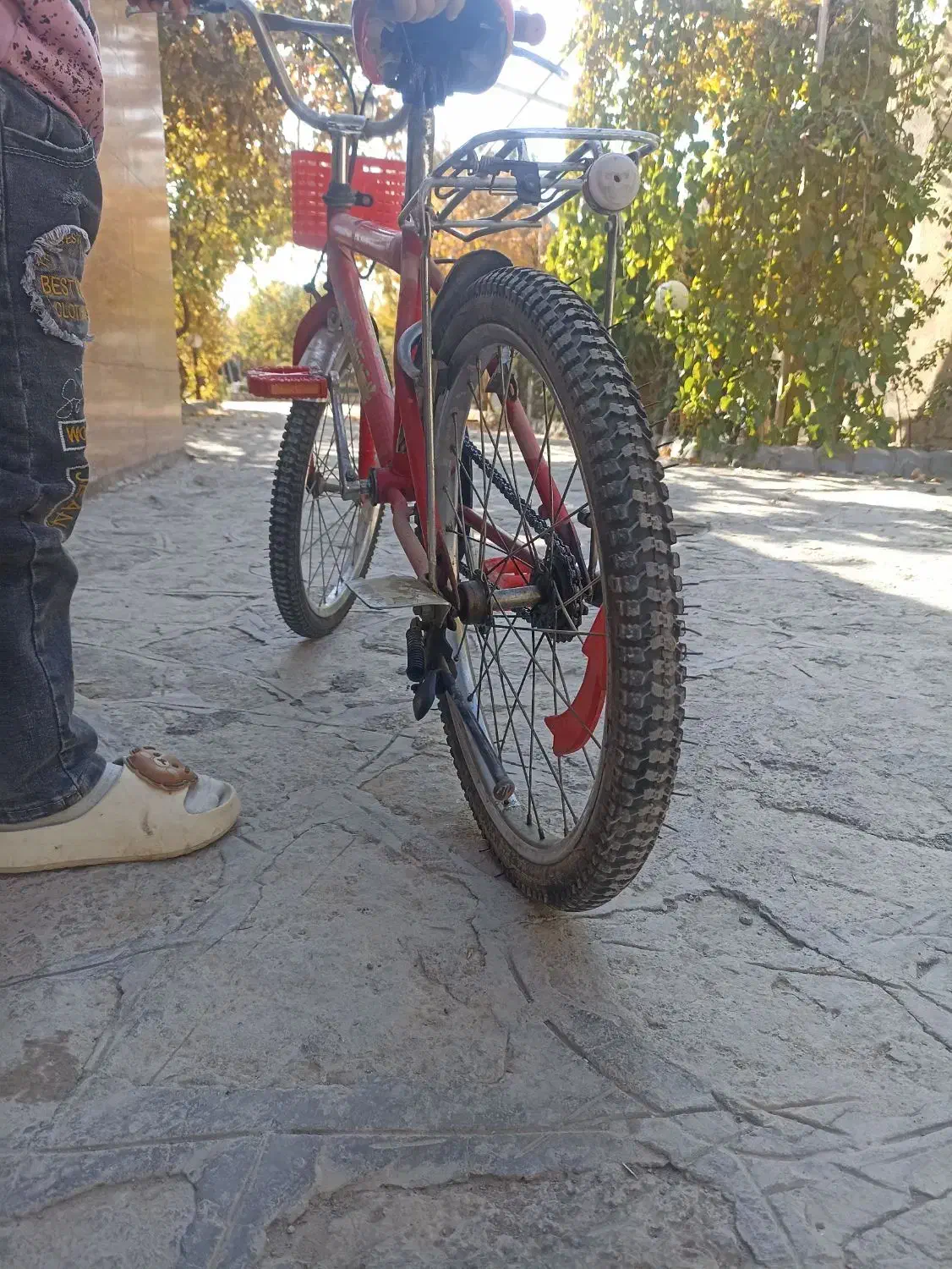 دو عدد دوچرخه جفتش باهم3تومن توضیحات بخونید|دوچرخه، اسکیت، اسکوتر|مشهد, چهاربرج|دیوار