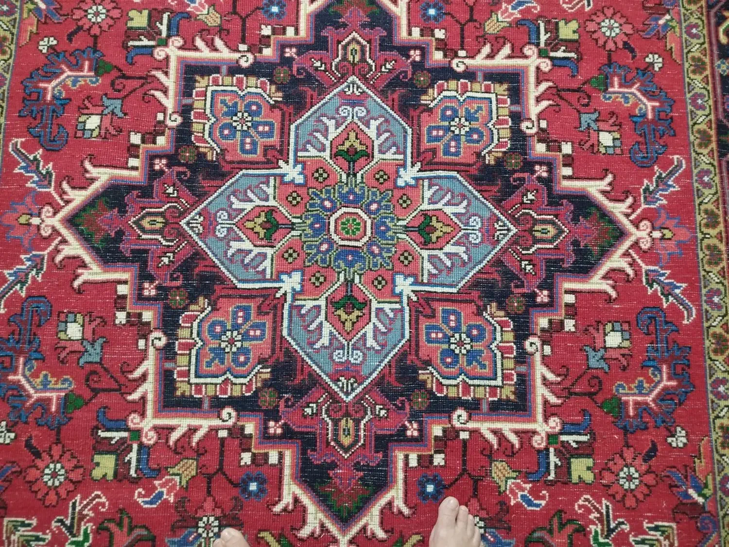 فرش هریس تاجری|فرش|تبریز, |دیوار