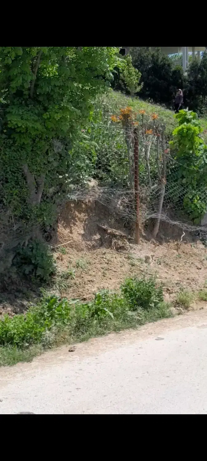 فروش یک قطعه زمین به مساحت ۲۱۰|فروش زمین و ملک کلنگی|فریم, |دیوار