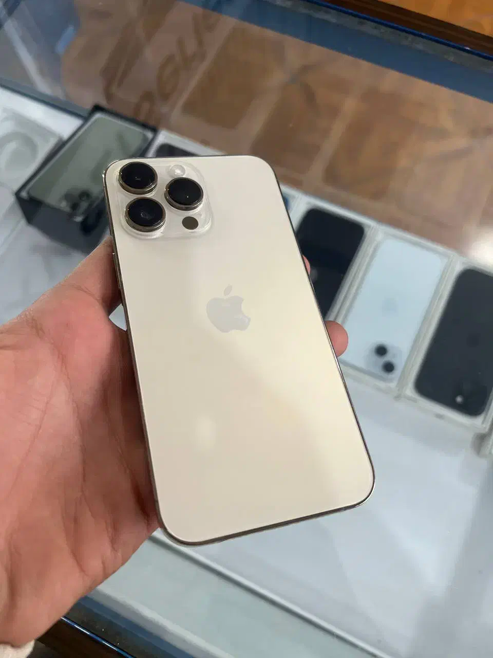 14Promax (اقساطی)باریجسترلاکاغذی|موبایل|یزد, |دیوار