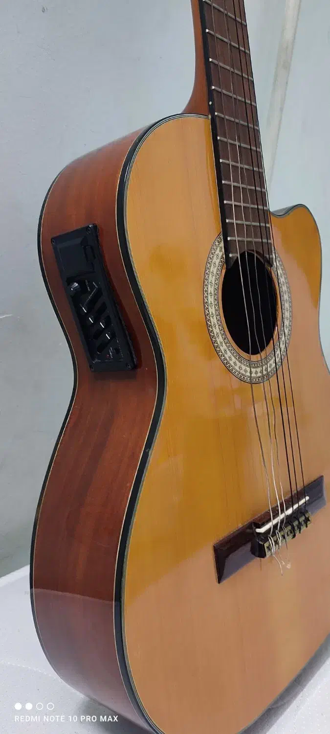 گیتار پائوچیا|گیتار، بیس، امپلیفایر|گرگان, |دیوار