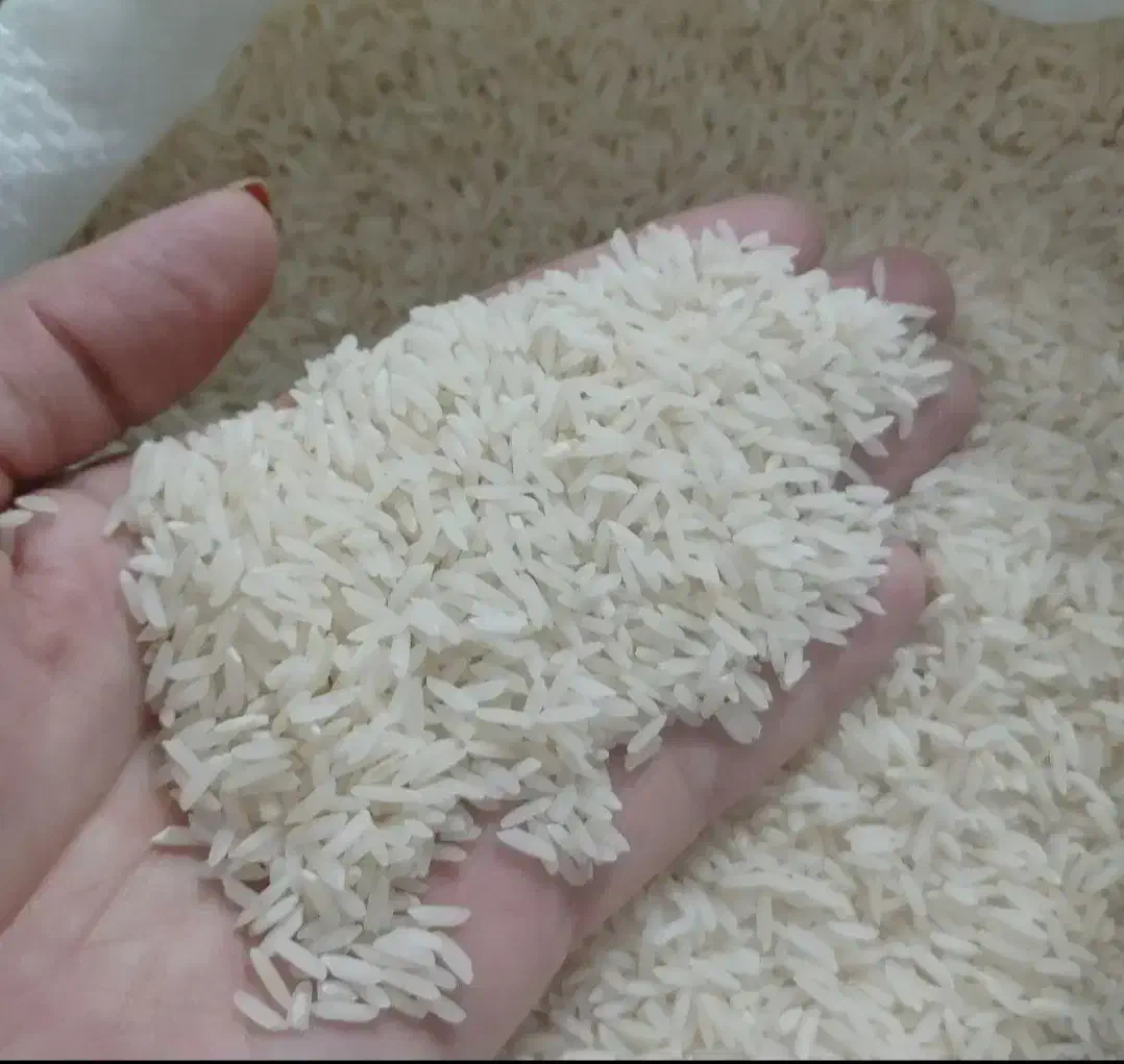 برنج درجه یک هاشمی|خوردنی و آشامیدنی|قدس, شهر‌قدس|دیوار