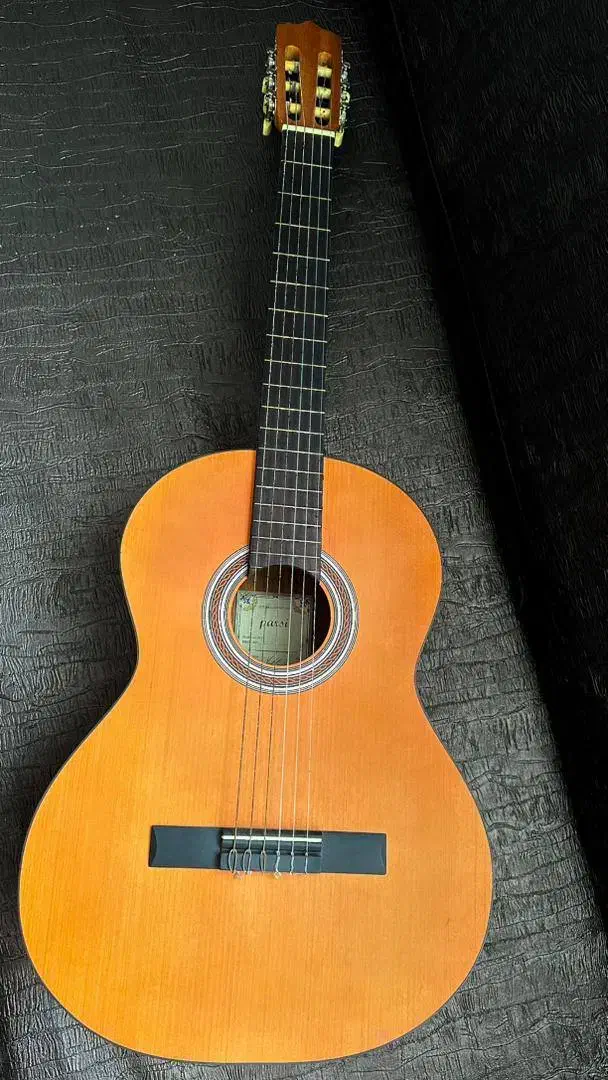 گیتار پارسی|گیتار، بیس، امپلیفایر|رشت, گلسار|دیوار