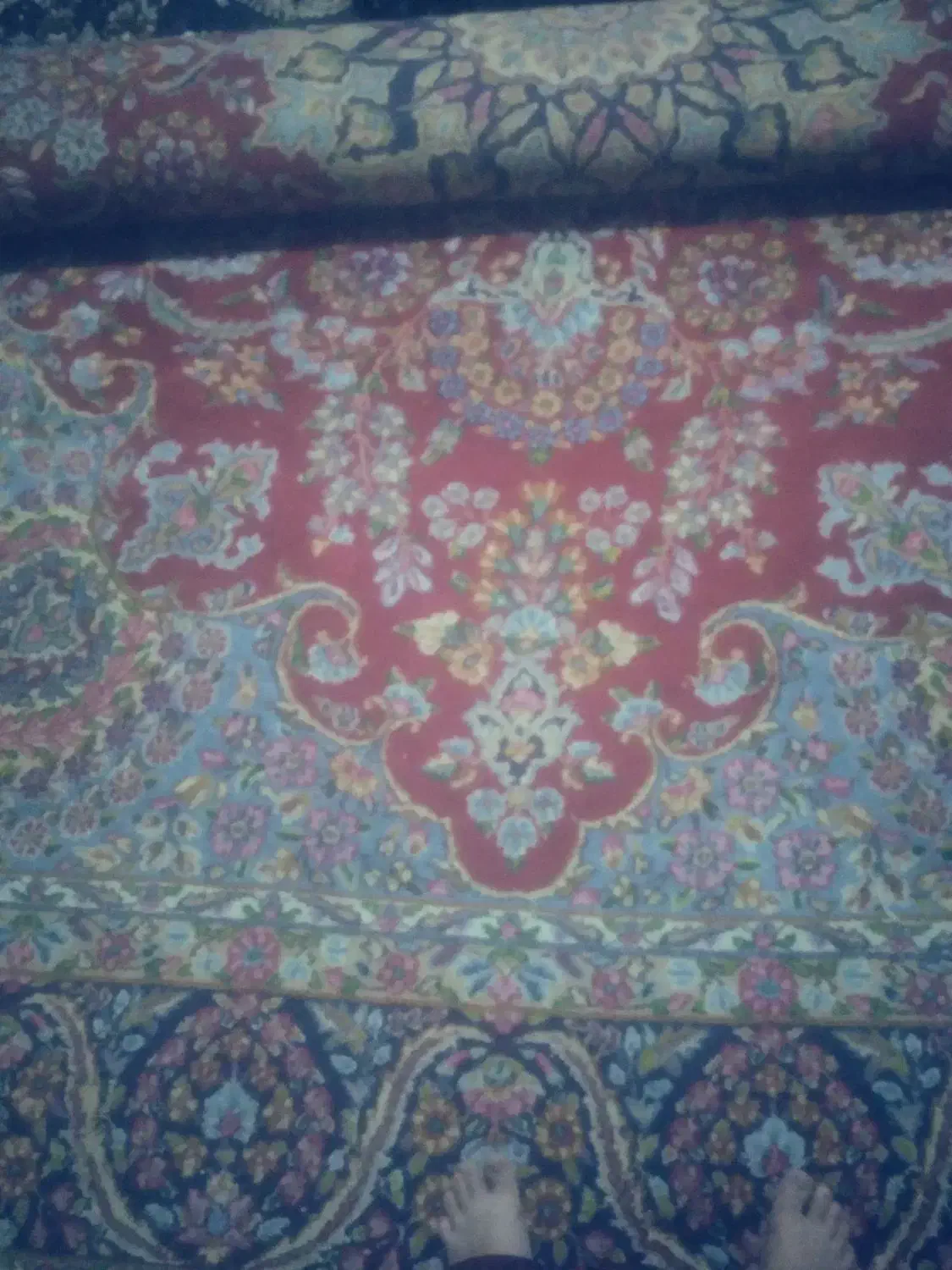 قالی کرمان|فرش|کرمان, |دیوار