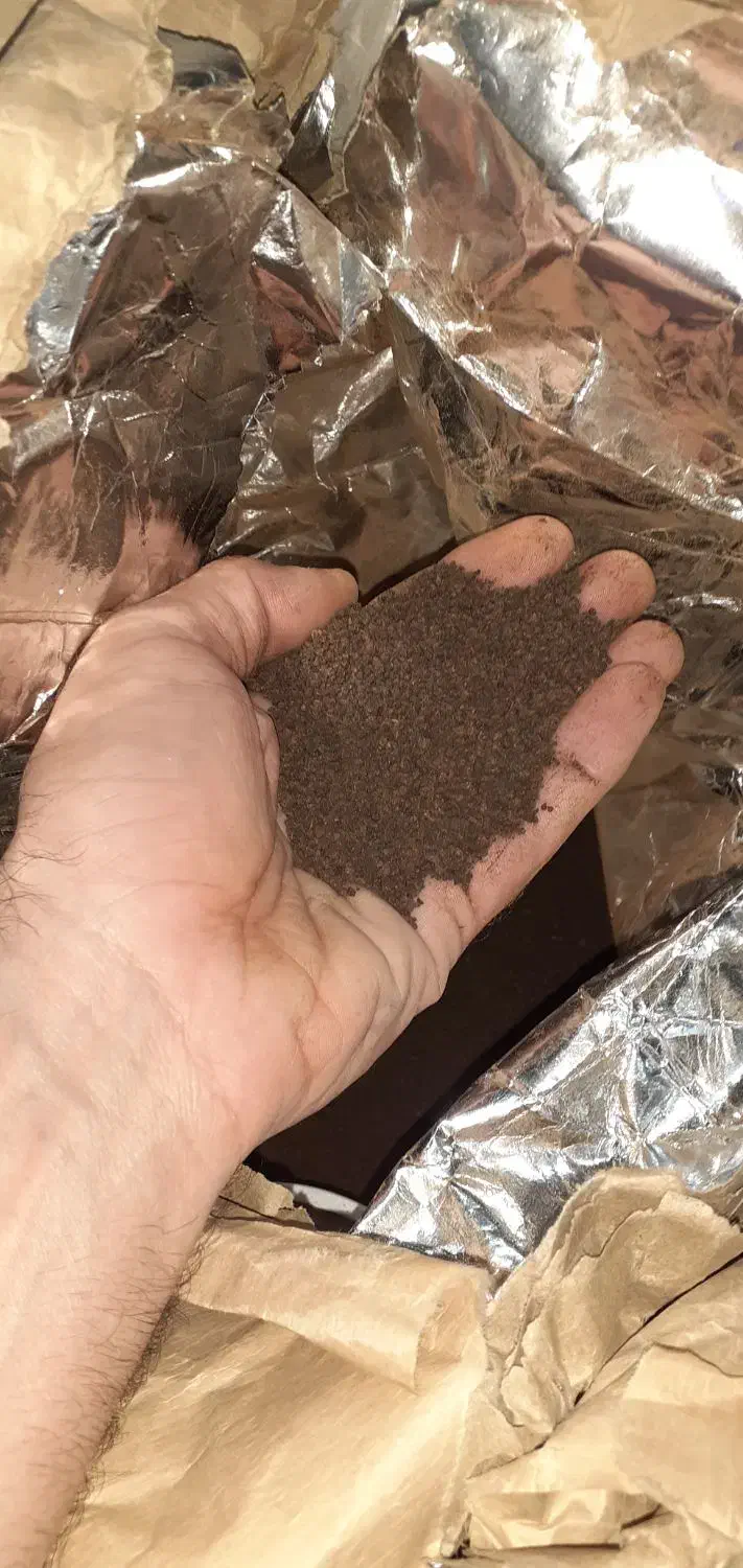 چای کله مورچه ای|خوردنی و آشامیدنی|دلیجان, |دیوار