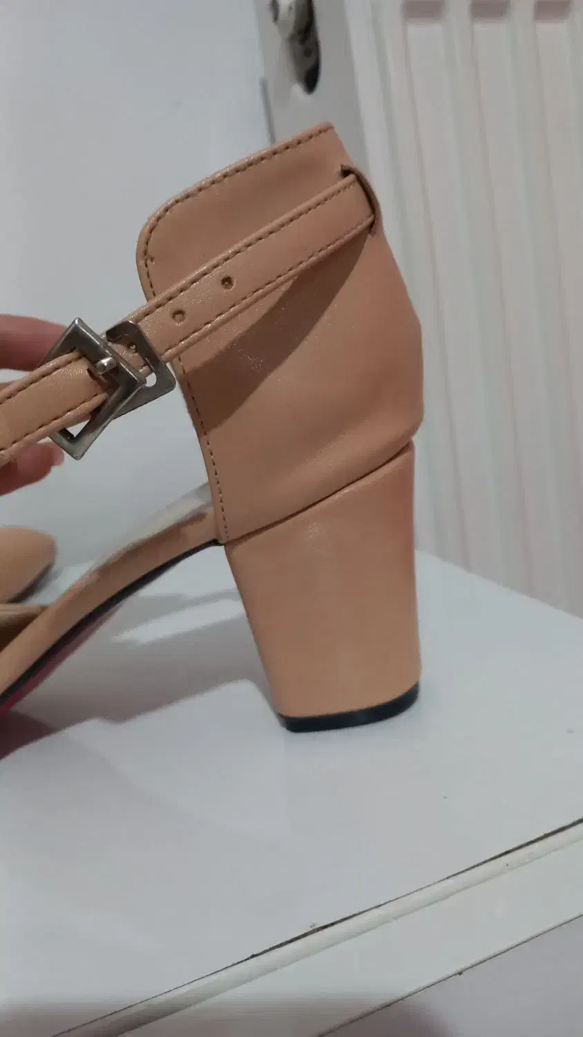 کفش|کیف، کفش، کمربند|اردبیل, |دیوار