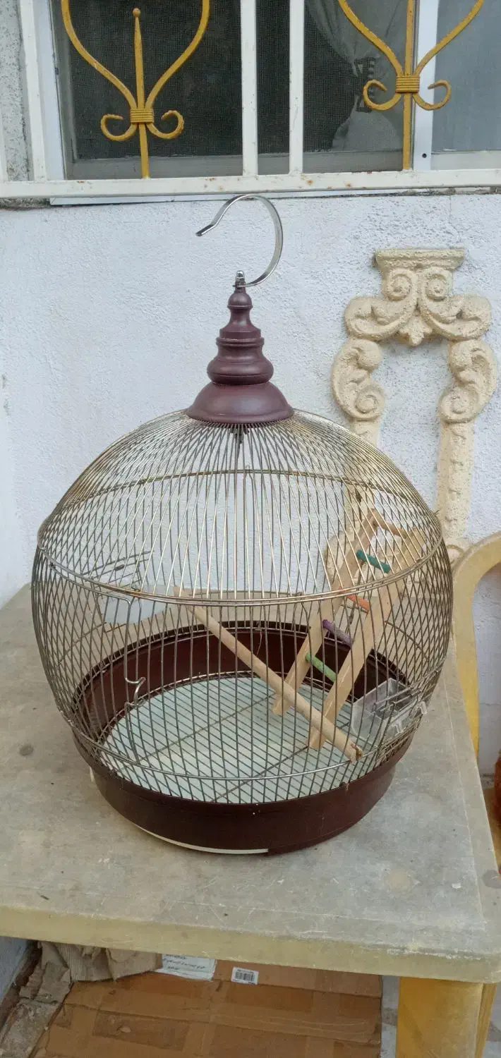 قفس پرنده|لوازم جانبی حیوانات|رشت, دروازه لاکان|دیوار