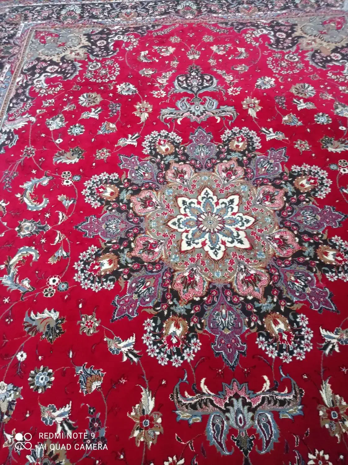 قالی نو|فرش|دزفول, |دیوار