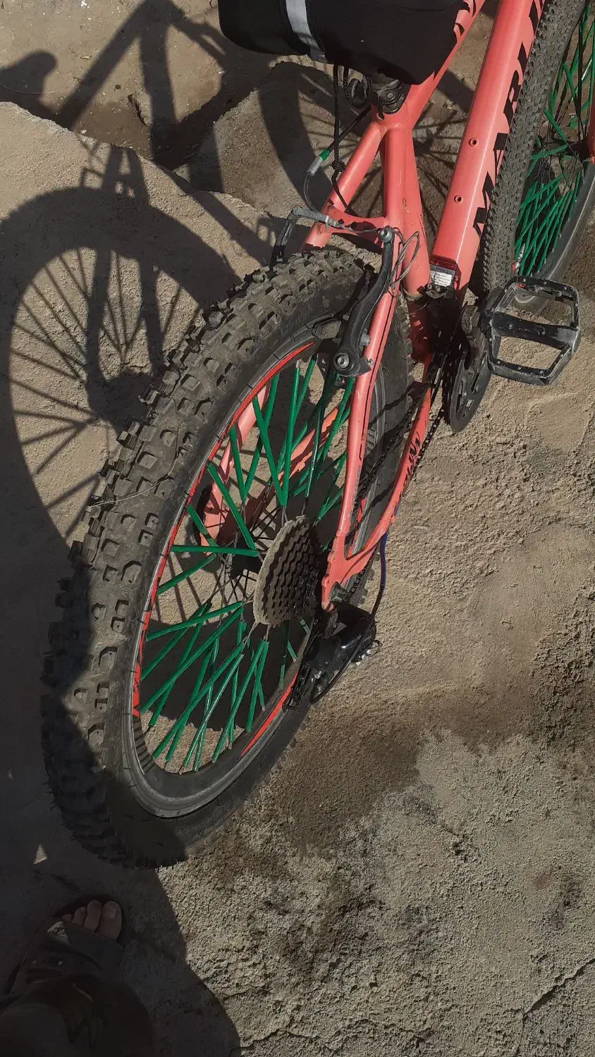 دوچرخه ۲۴ تنه بزرگ|دوچرخه، اسکیت، اسکوتر|گیلوان, |دیوار