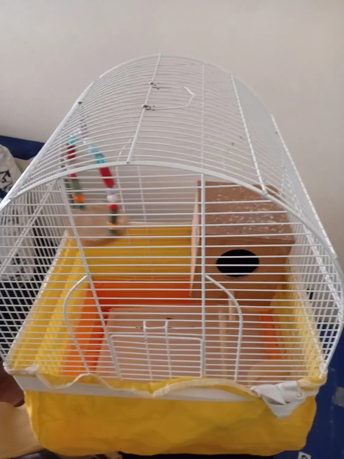 فروش یک قفس زیبا پرنده با تمام لوازم|لوازم جانبی حیوانات|تهران, افسریه شمالی|دیوار