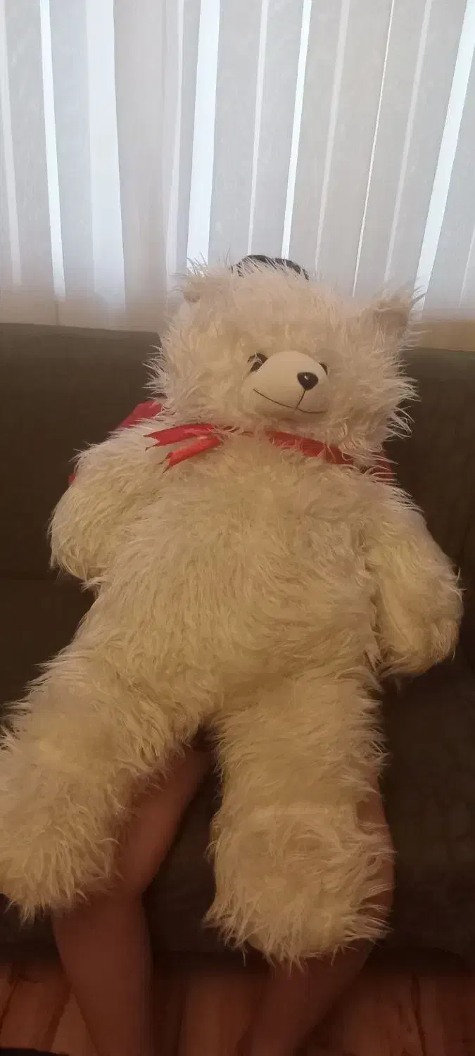 خرس  سایزنود|اسباب‌‌بازی|تبریز, |دیوار