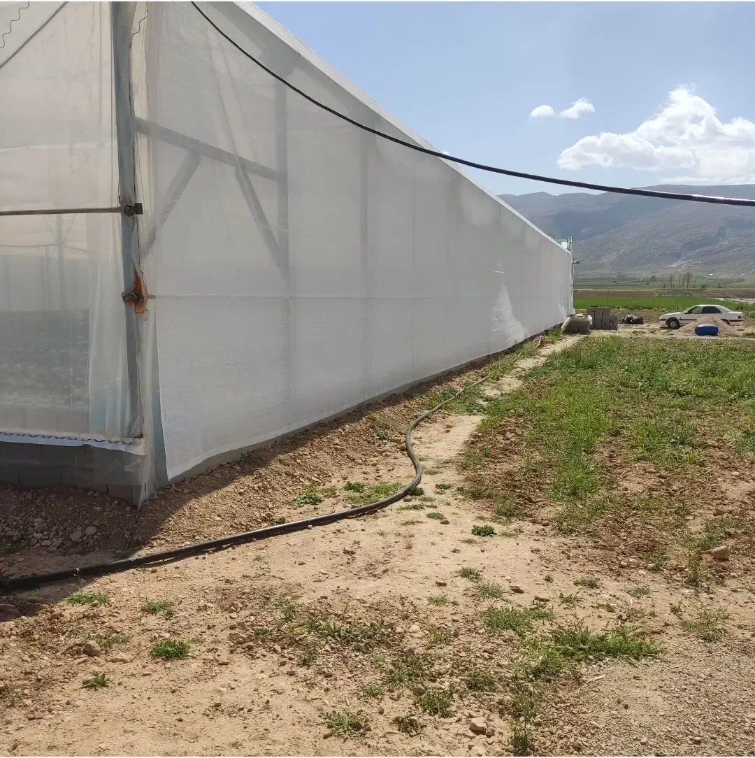 فروش گلخانه اسپانیایی|فروش دفتر صنعتی، کشاورزی، تجاری|شیراز, بید زرد|دیوار