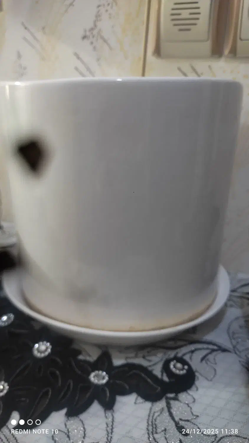 گلدان|گل و گیاه طبیعی|مشهد, عامل|دیوار