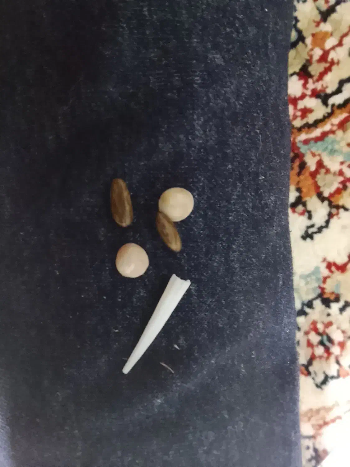 مهره|کلکسیون اشیاء عتیقه|شیراز, بازار|دیوار