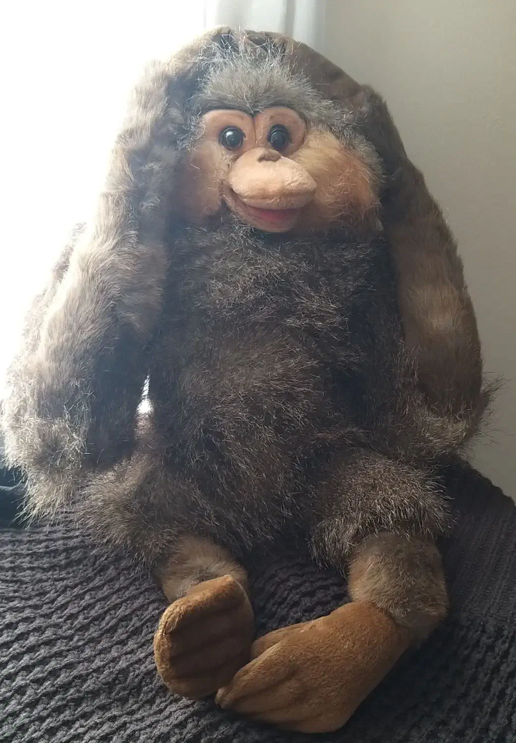 انواع گوریل های پشمالو برند وارداتی مناسب هدیه|اسباببازی بچه|پرند, فاز ۲|دیوار