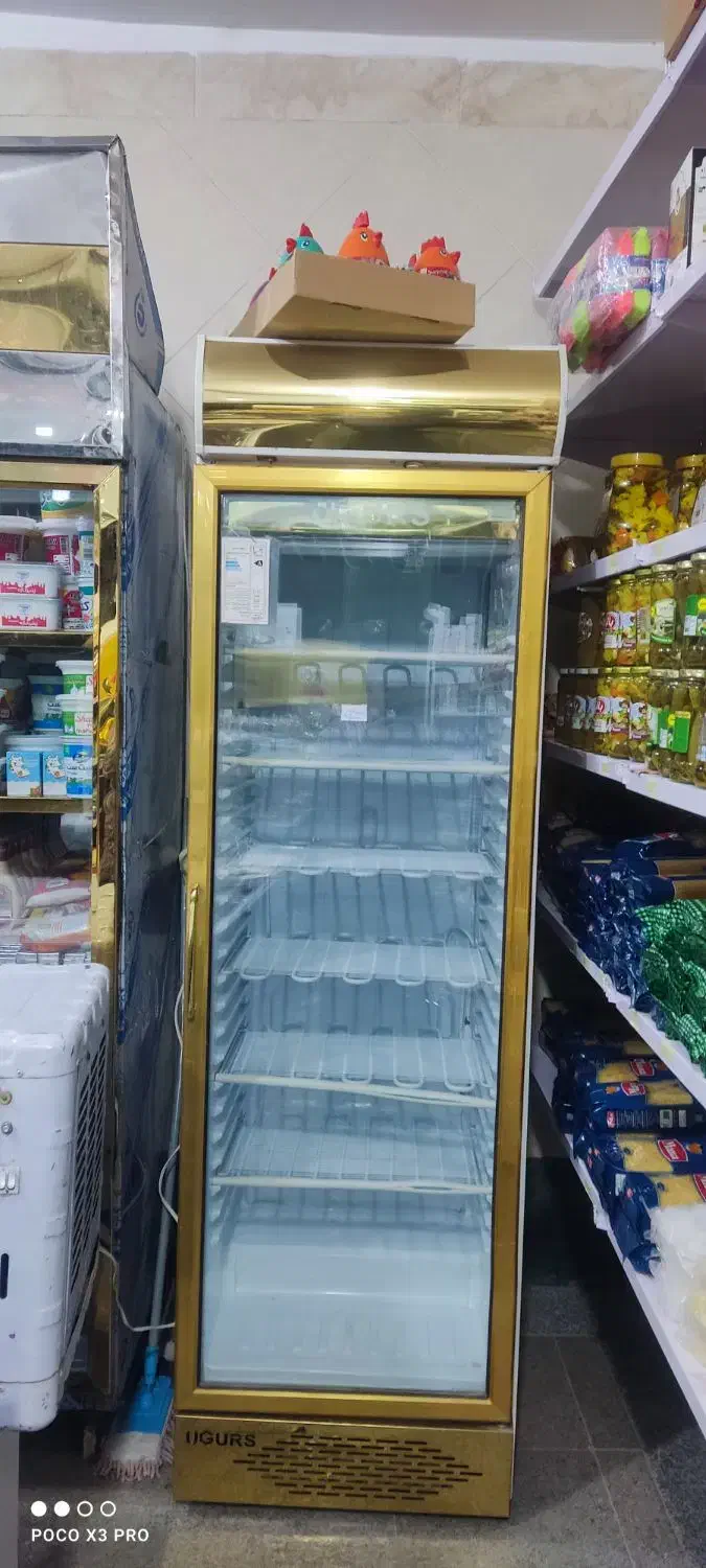 فروش یخچال فریزر مغازه تک درب 60سانتی|فروشگاه و مغازه|شاهین‌شهر, شهرک ردانی پور|دیوار