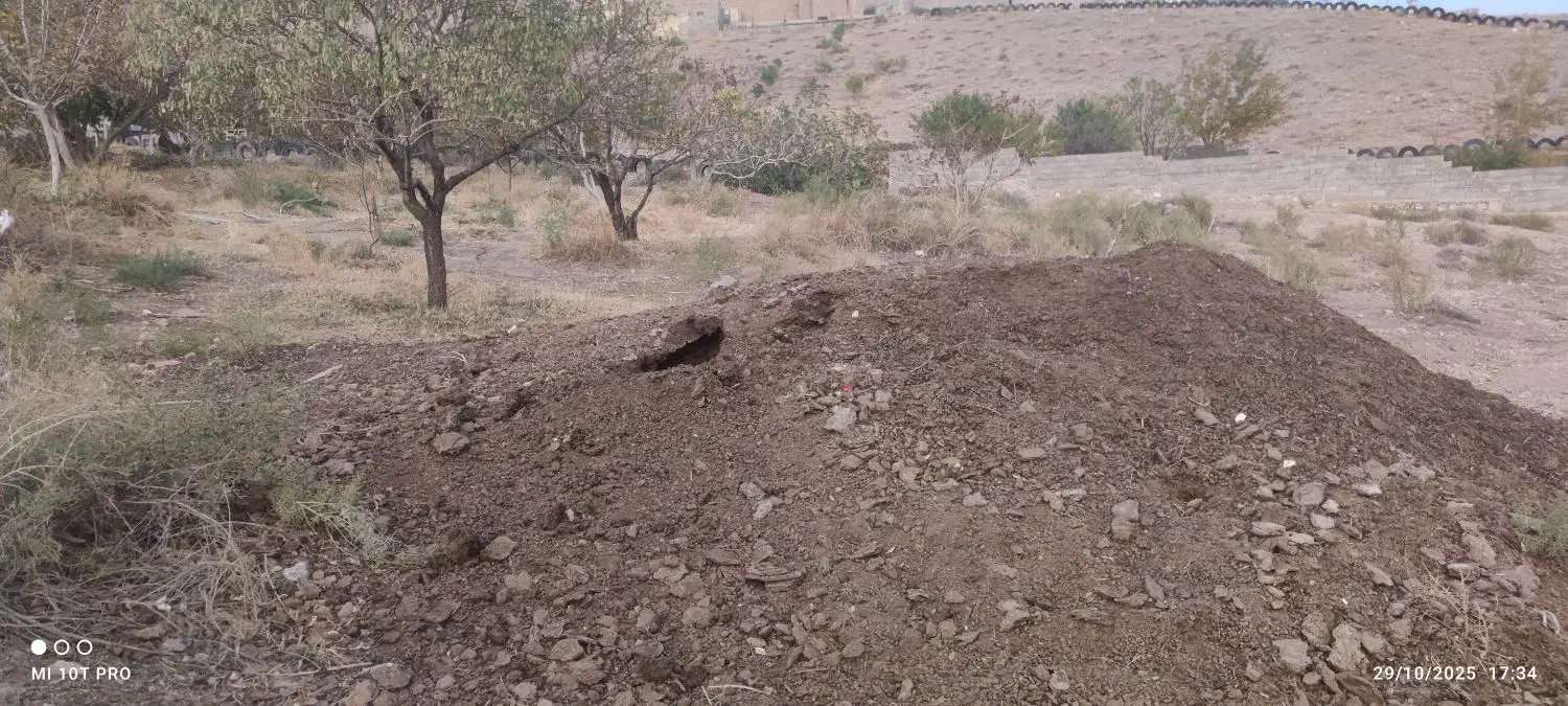 کود حیوانی گوسفندی|خدمات باغبانی و درختکاری|صوفیان, |دیوار