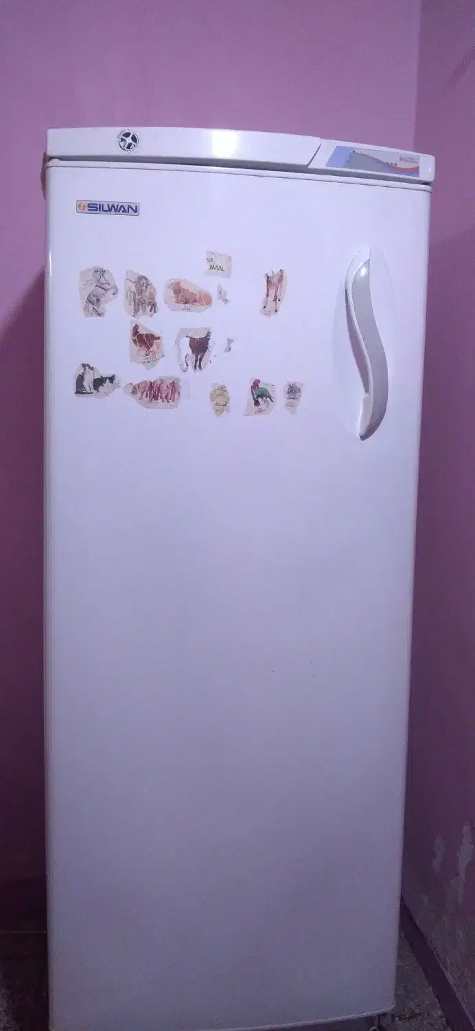 فریزر ایستاده سیلوان|یخچال و فریزر|سوسنگرد, |دیوار