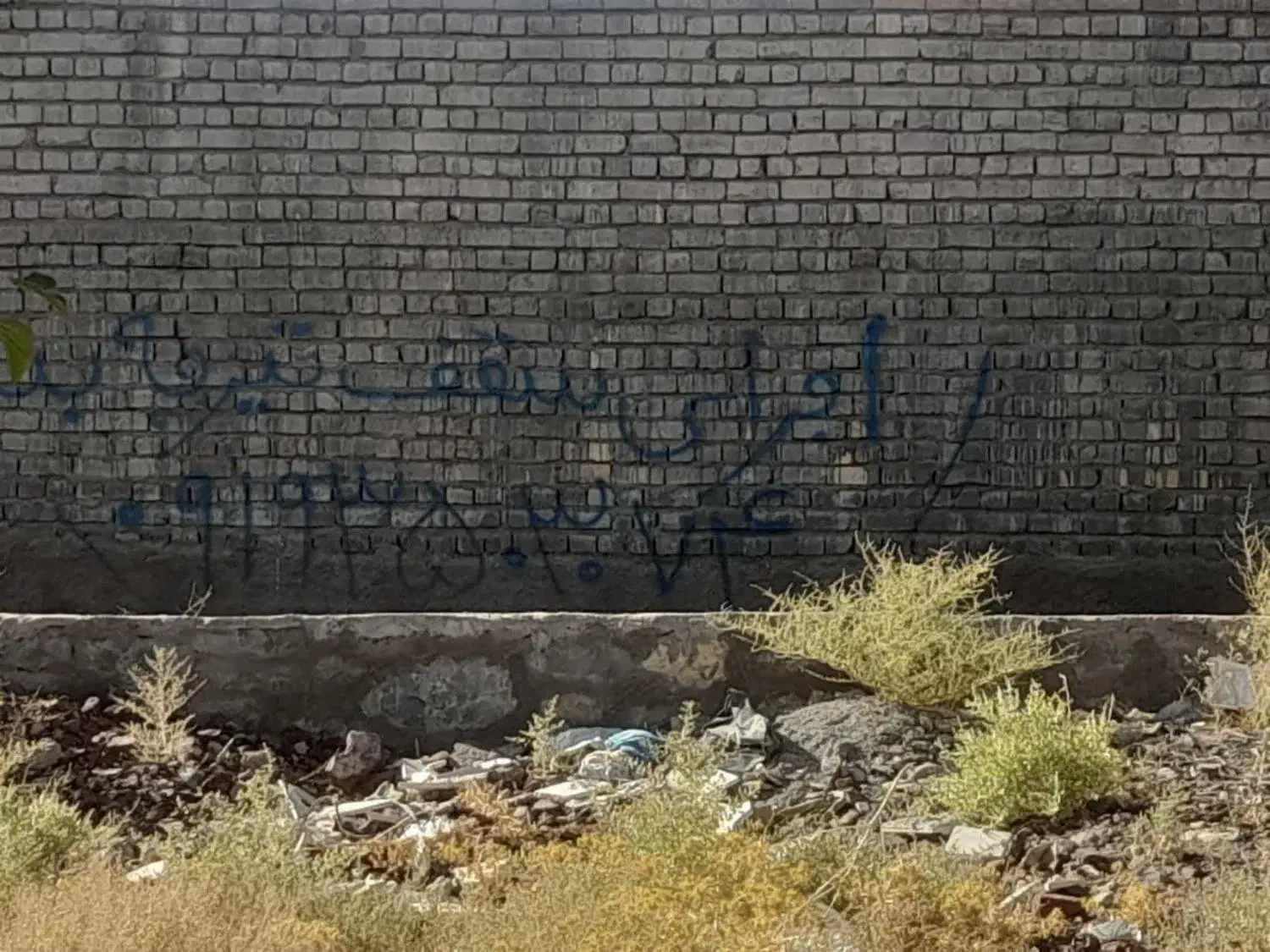 زمین ۲۵۰متر با مجوز ساخت درمنطقه بکرخوش آب وهوا|فروش زمین و ملک کلنگی|سلفچگان, |دیوار