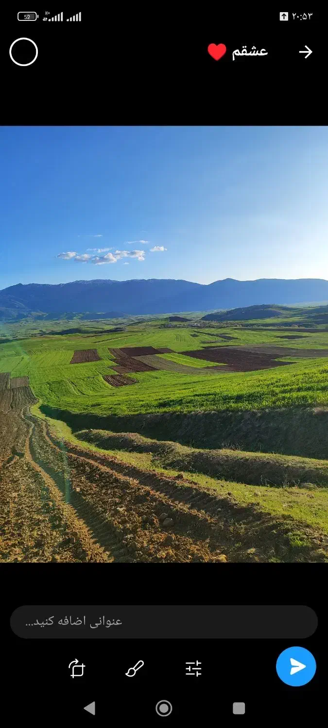 گندم بذر دیم آذر دو منطقه بیلوار|گل و گیاه طبیعی|بیلوار, |دیوار