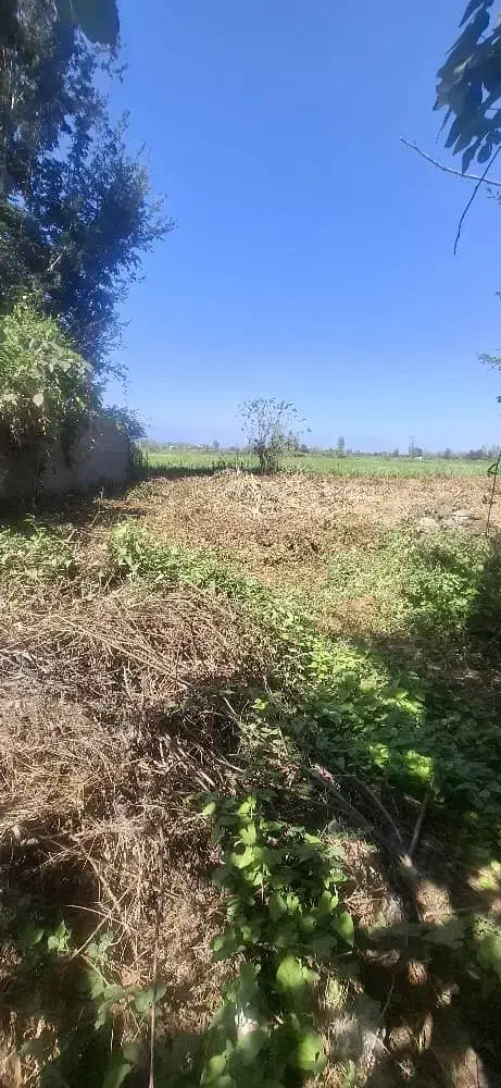 208متر کامل مسکونی|فروش زمین و ملک کلنگی|فومن, |دیوار