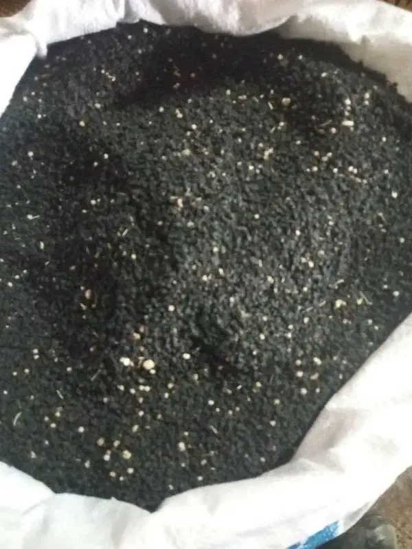 بذر پیاز قرمز|خدمات باغبانی و درختکاری|لیلان, |دیوار