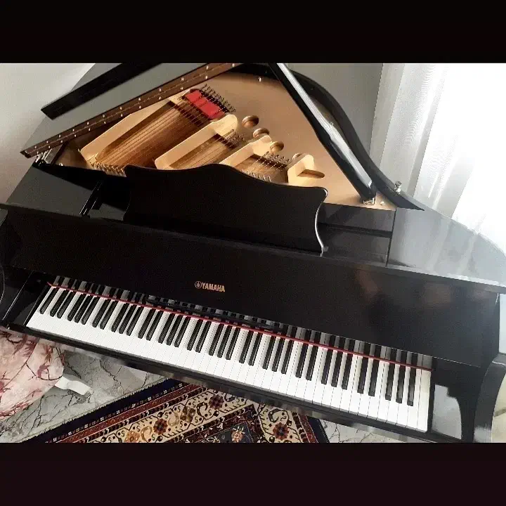 پیانو بیبگرند و مینیگرند الکترونیک|پیانو، کیبورد، آکاردئون|تهران, جمهوری|دیوار