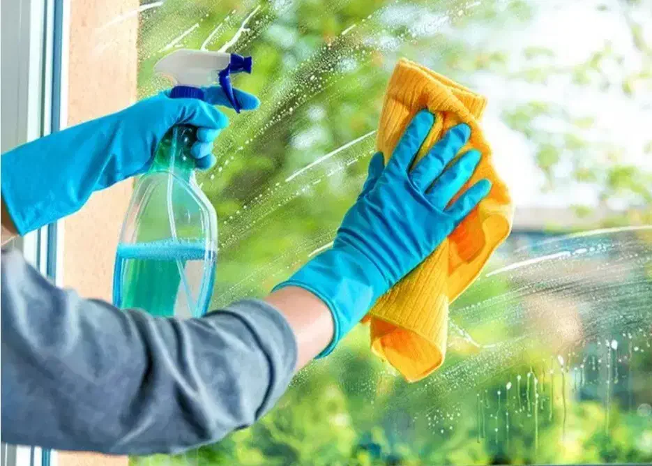 مواد شوینده|مواد شوینده و دستمال کاغذی|بندرعباس, |دیوار