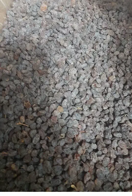 کشمش تمیز و پاک کرده بسته بندی شده|خوردنی و آشامیدنی|قزوین, |دیوار